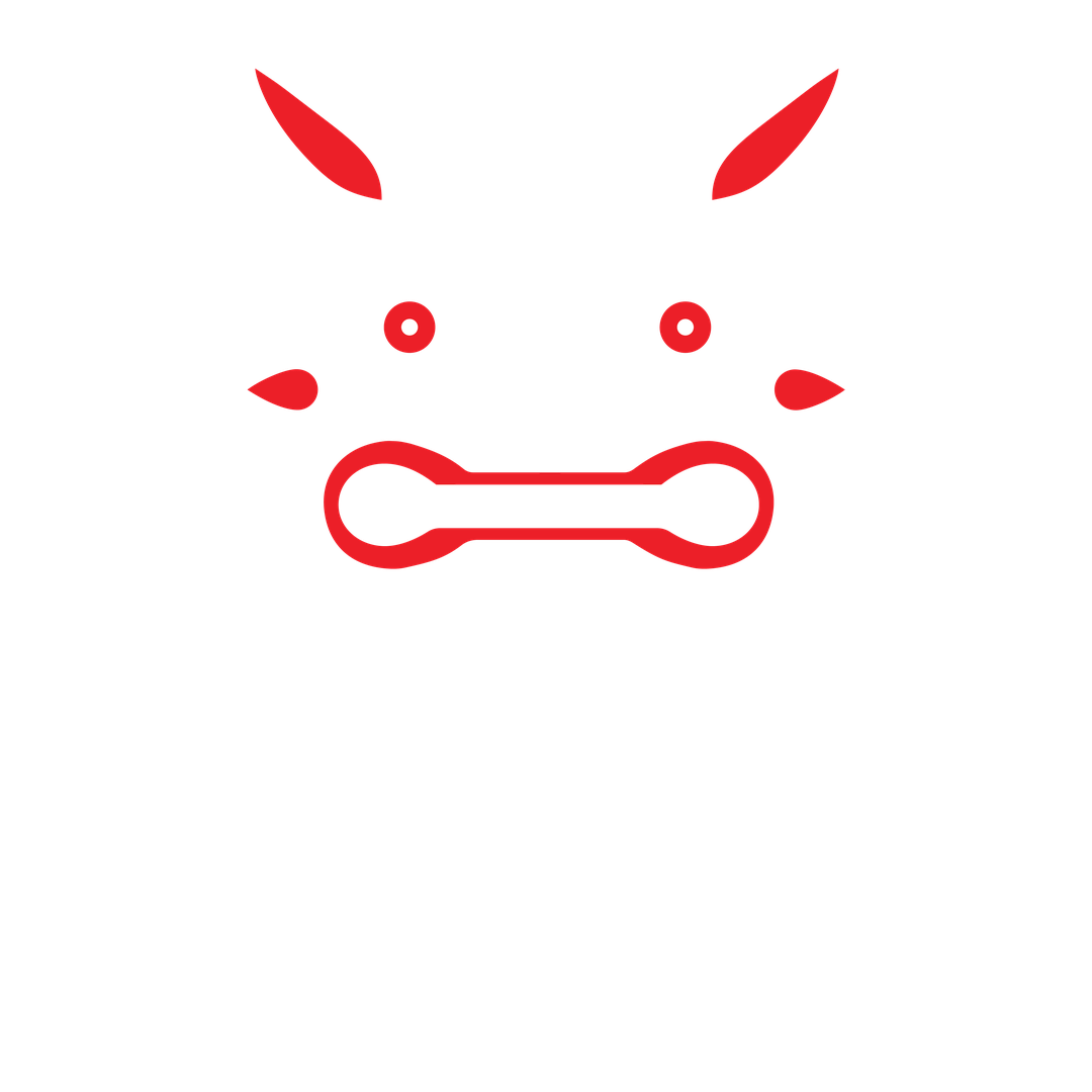 Footer Logo